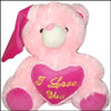 Pink Love Teddy - Height 30cms - Click here to View more details about this Product